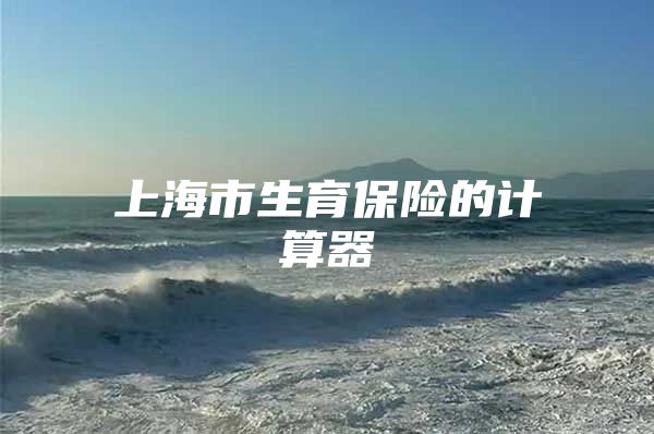 上海市生育保险的计算器