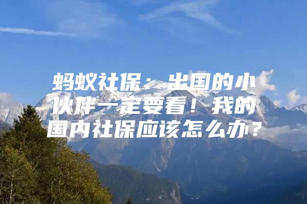 蚂蚁社保：出国的小伙伴一定要看！我的国内社保应该怎么办？