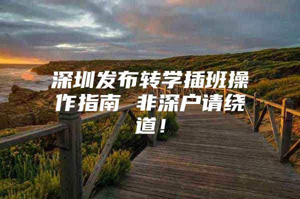 深圳发布转学插班操作指南 非深户请绕道！