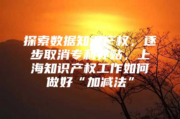 探索数据知识产权，逐步取消专利补贴，上海知识产权工作如何做好“加减法”