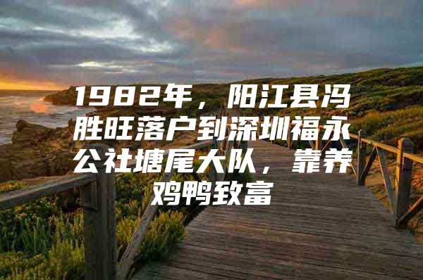 1982年，阳江县冯胜旺落户到深圳福永公社塘尾大队，靠养鸡鸭致富