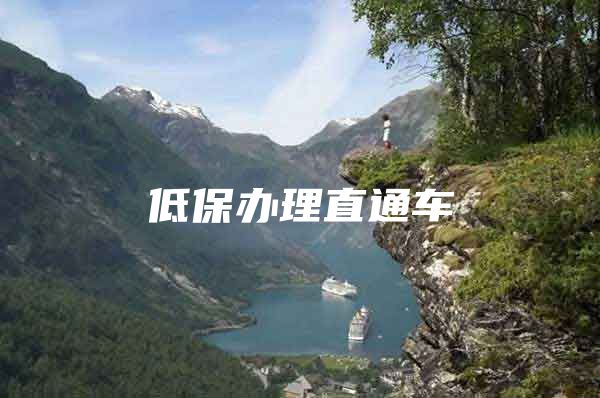 低保办理直通车