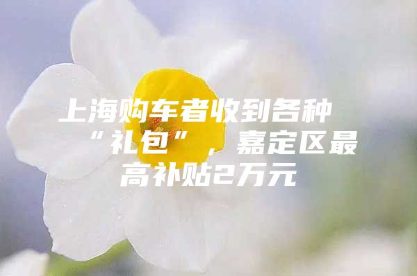 上海购车者收到各种“礼包”，嘉定区最高补贴2万元