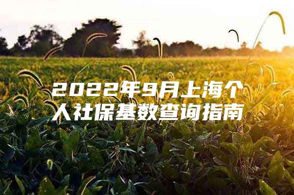 2022年9月上海个人社保基数查询指南