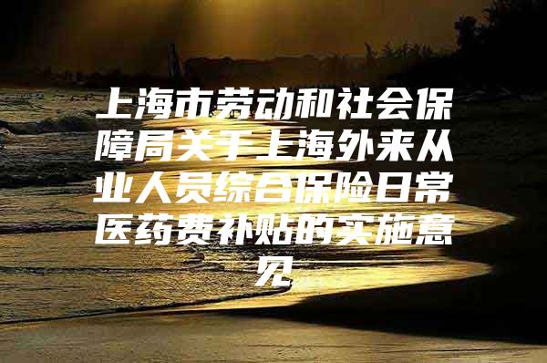 上海市劳动和社会保障局关于上海外来从业人员综合保险日常医药费补贴的实施意见