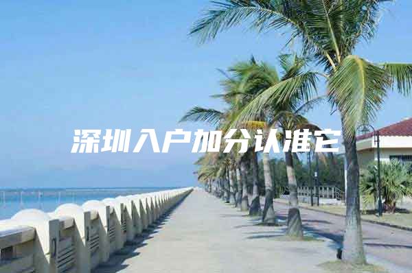 深圳入户加分认准它