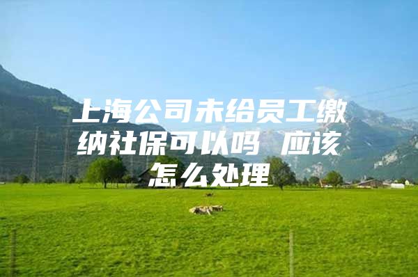 上海公司未给员工缴纳社保可以吗 应该怎么处理