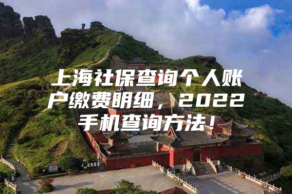 上海社保查询个人账户缴费明细，2022手机查询方法！