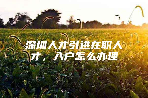 深圳人才引进在职人才，入户怎么办理