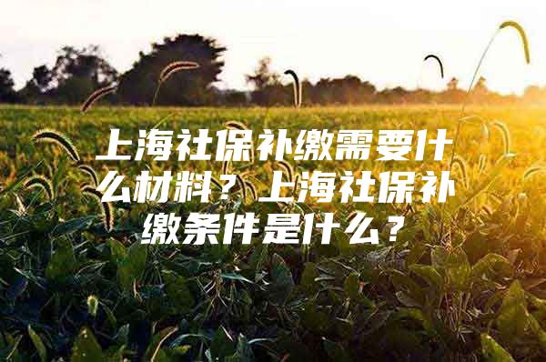 上海社保补缴需要什么材料？上海社保补缴条件是什么？