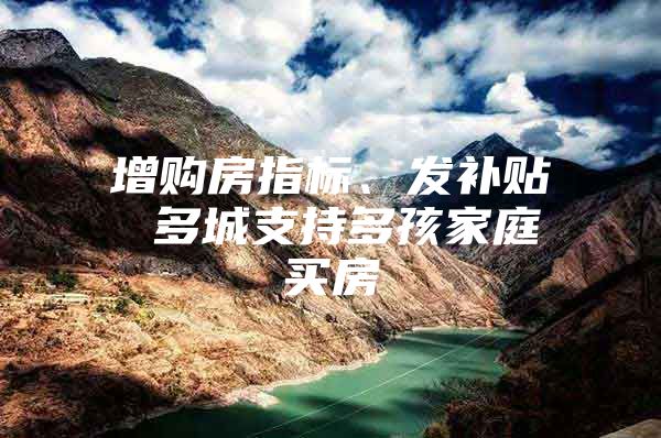 增购房指标、发补贴 多城支持多孩家庭买房