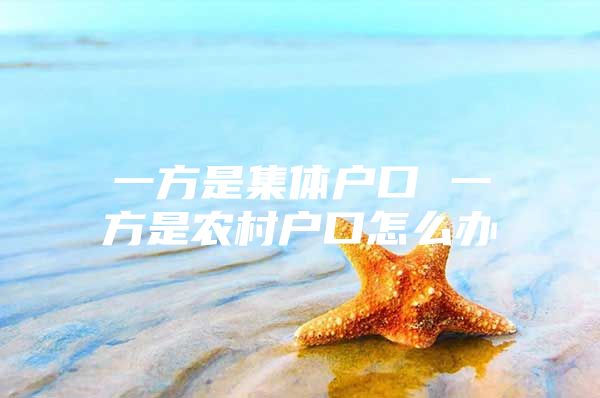 一方是集体户口 一方是农村户口怎么办