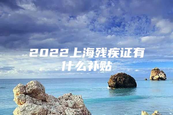 2022上海残疾证有什么补贴