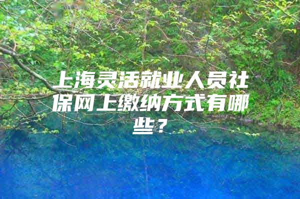 上海灵活就业人员社保网上缴纳方式有哪些？