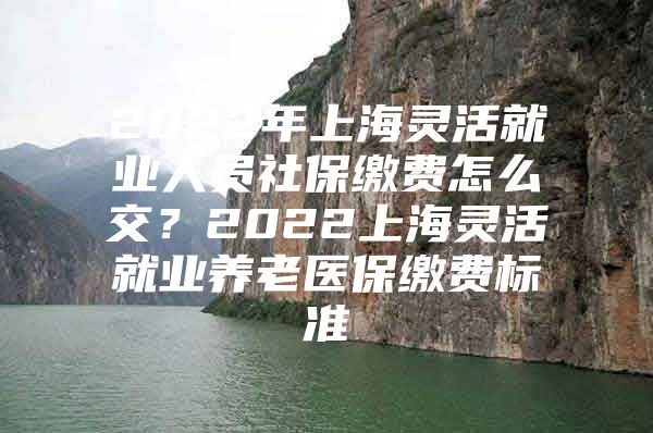 2022年上海灵活就业人员社保缴费怎么交？2022上海灵活就业养老医保缴费标准
