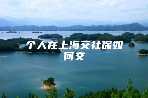 个人在上海交社保如何交