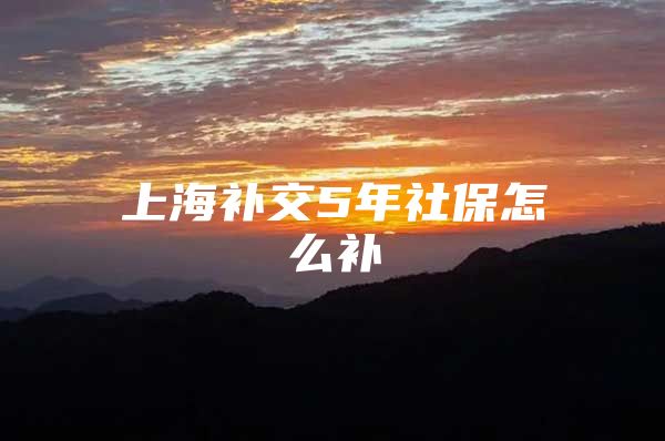 上海补交5年社保怎么补