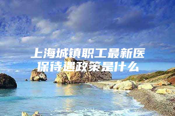 上海城镇职工最新医保待遇政策是什么