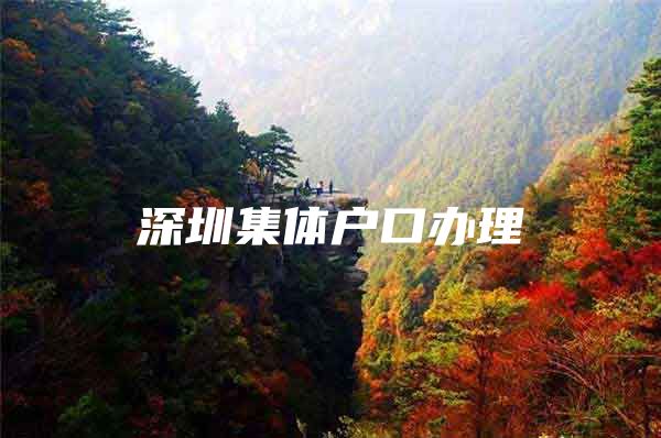 深圳集体户口办理