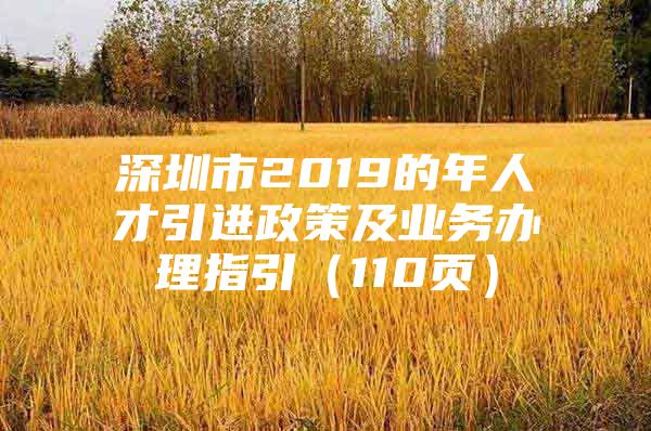 深圳市2019的年人才引进政策及业务办理指引（110页）